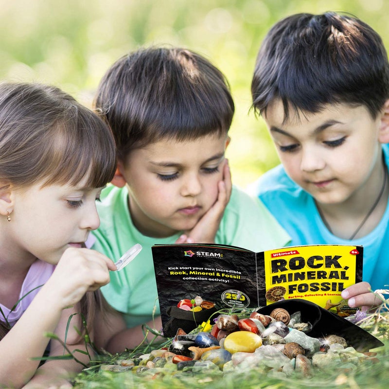 XX Rocks Minerals & Fossils Collection for Kids 250+ Real Gemstones and Crystals Rock Identification Kit Includes Display Case, Genuine Fossils, Geodes Great Geology, Science Gift for Boys & Girls - Image 4